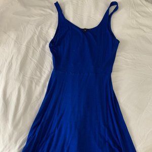Express Skater Dress